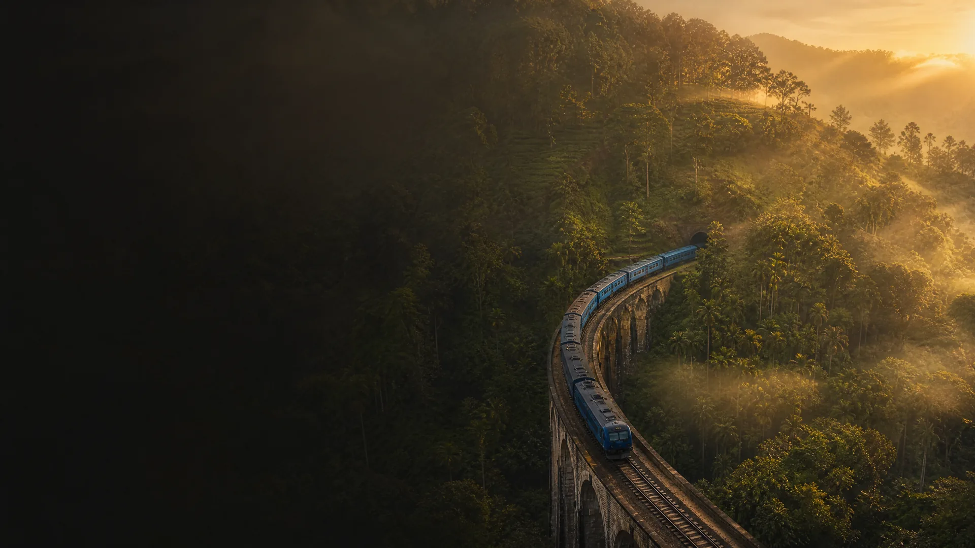 TEA TRAIN